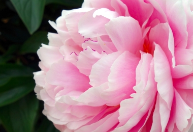 Balatoni hosszú hétvége - Pünkösd 