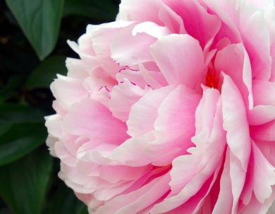 Pentecost recharge in Balatonfüred